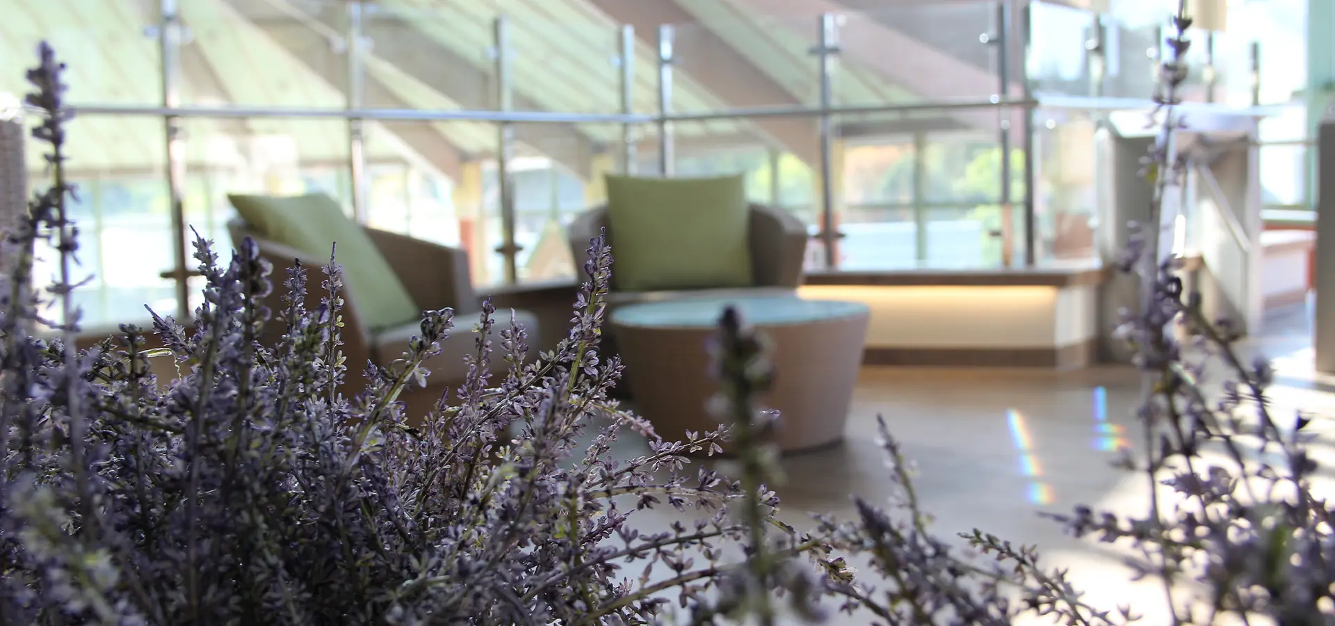 Blick durch einen Fliederbusch auf eine Sitzecke